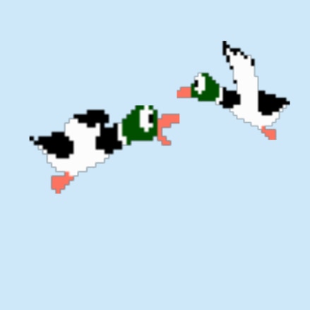 Duck Hunt