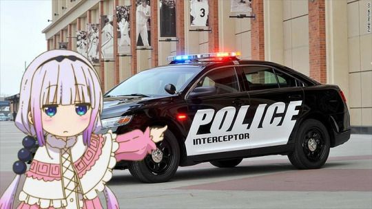 Image result for don't lewd the dragon loli
