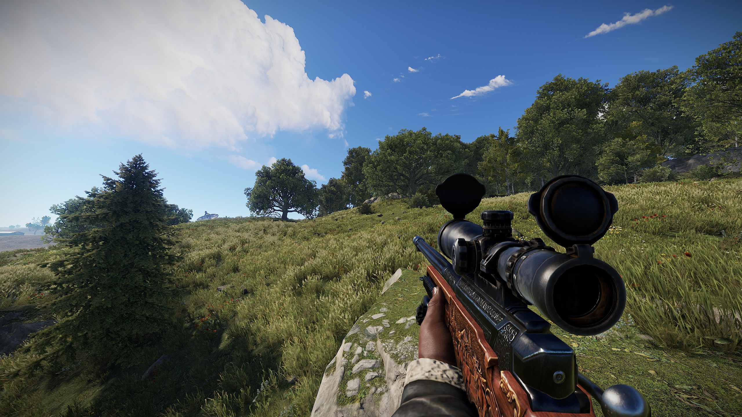 Hunting Rifle thumbnail 6