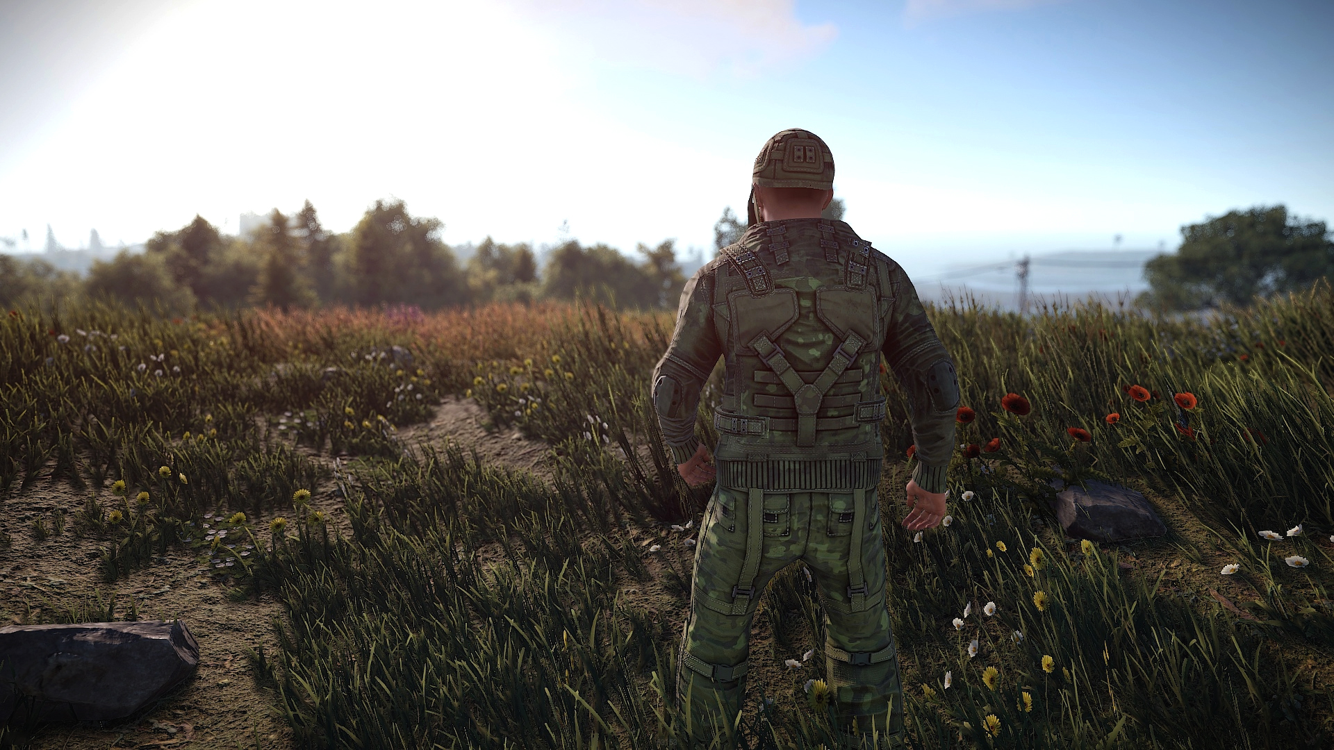 Forest Raiders Pants thumbnail 7