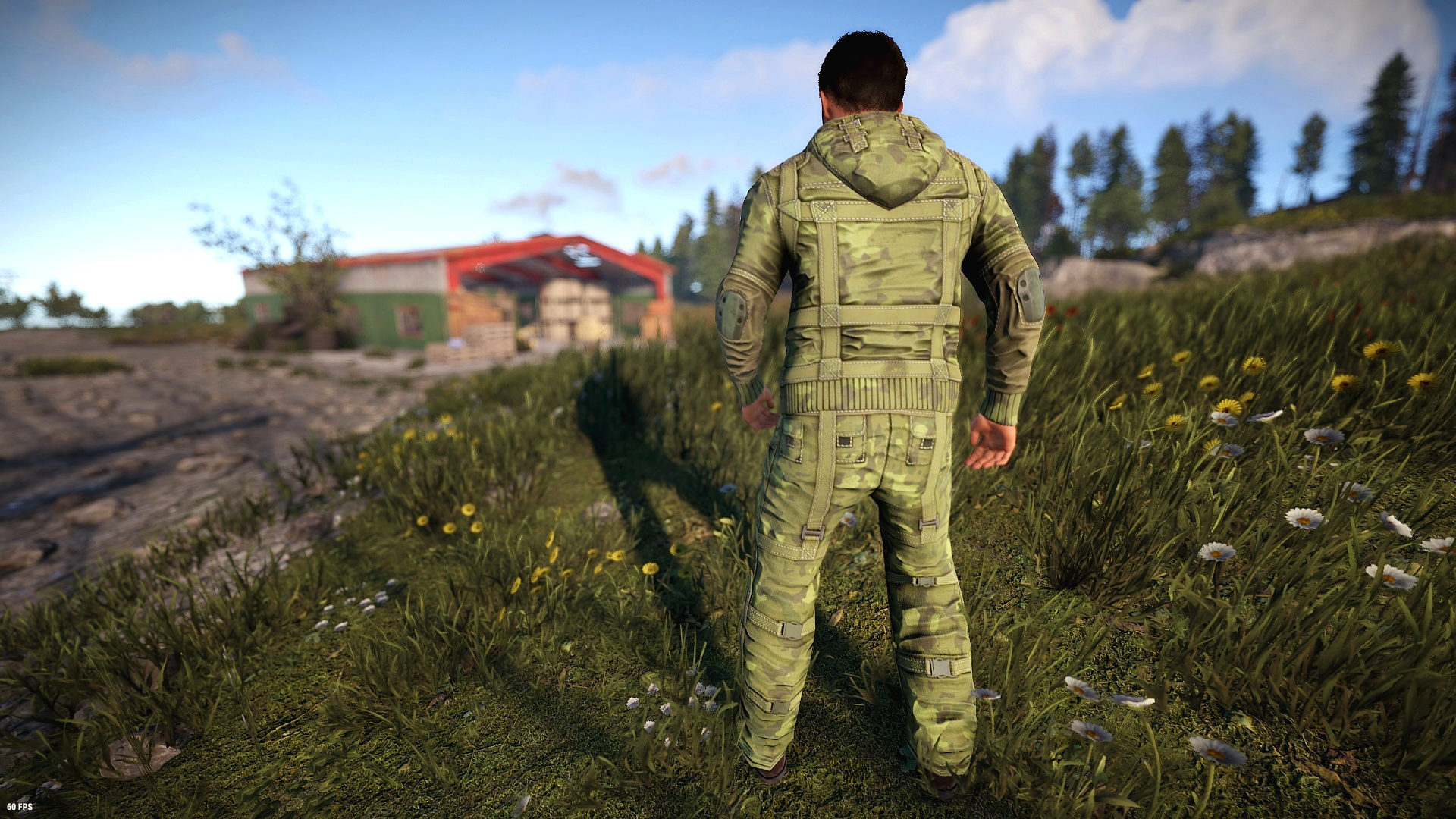 Forest Raiders Hoodie thumbnail 5