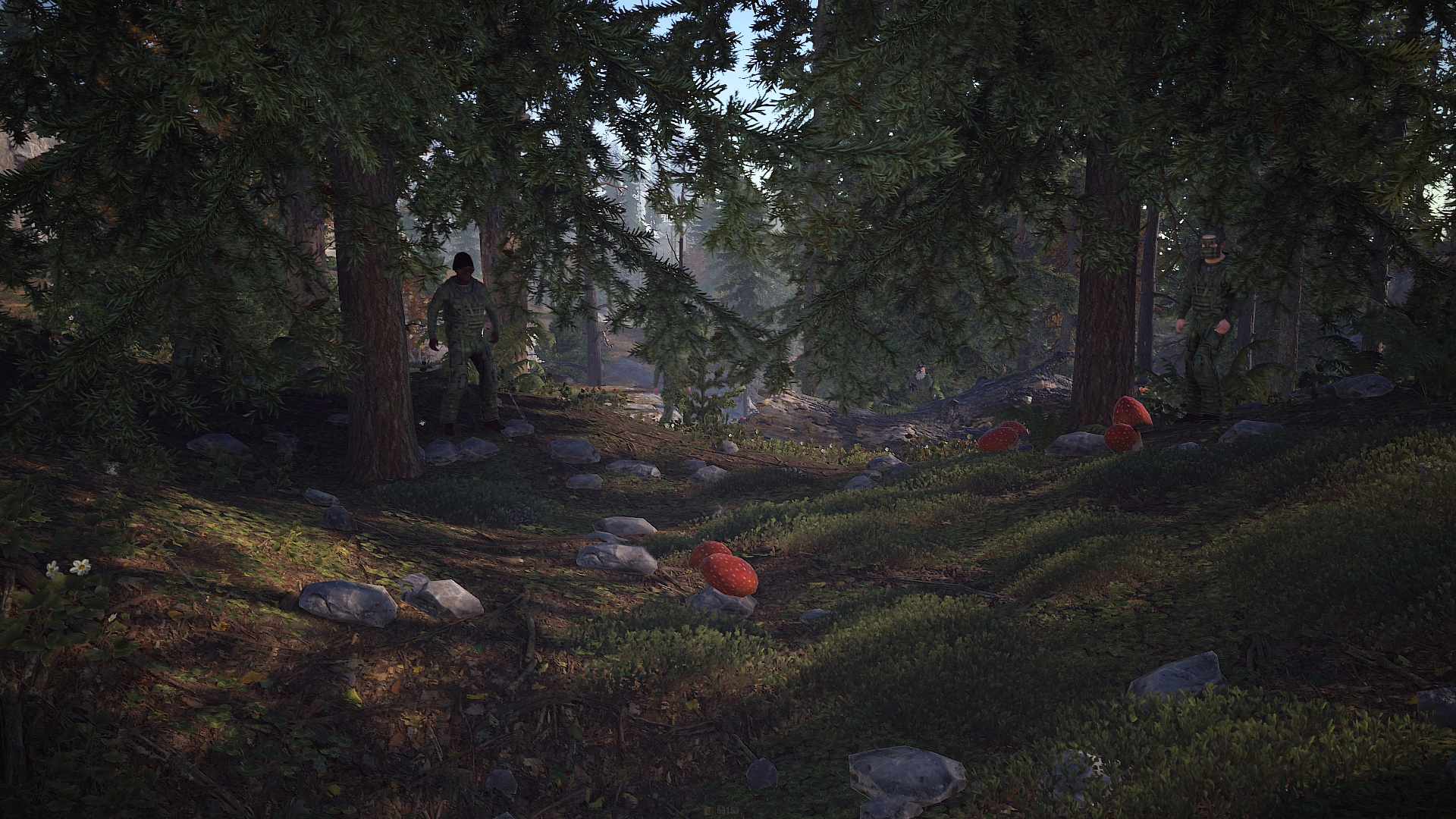Forest Raiders Hoodie thumbnail 9