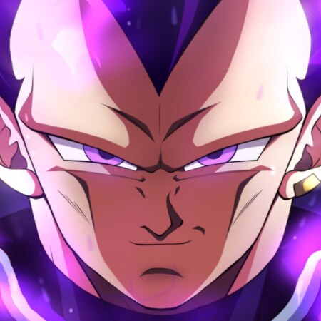 Vegeta Hakaishin