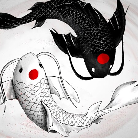 Japanese fish | Wallpapers HDV