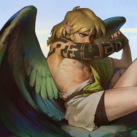 Fallen Link The Legend of Zelda