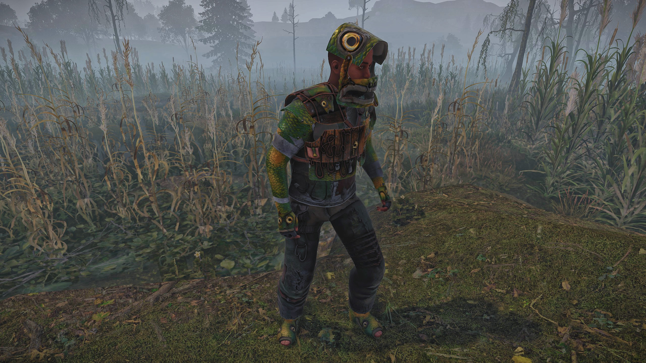Fish Helmet thumbnail 3