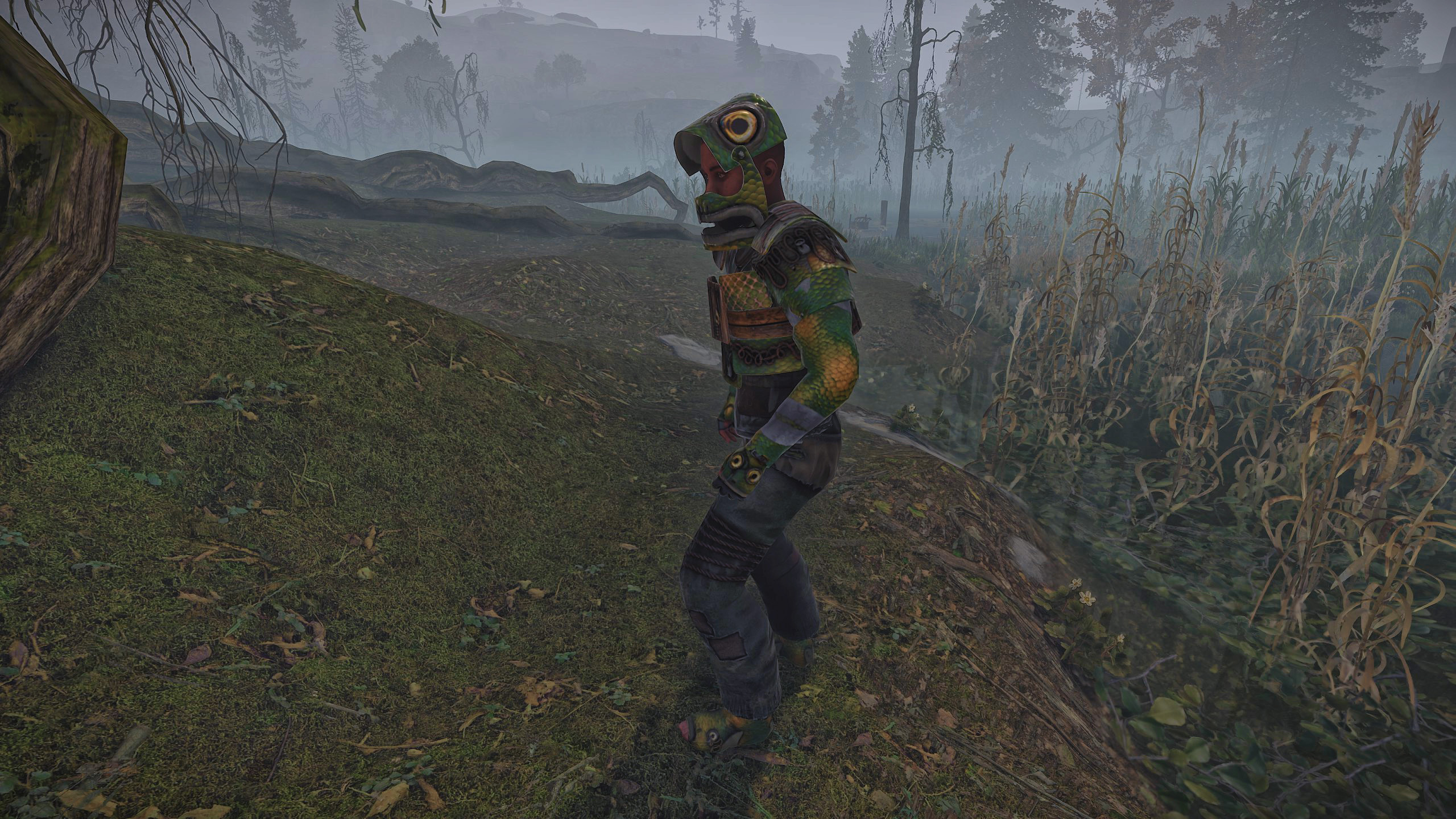Fish Helmet thumbnail 4
