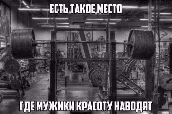 Качалка фото спорт Качалка фото спорт