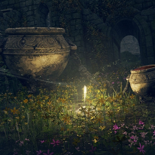 Elden Ring Note Relais En Ruine