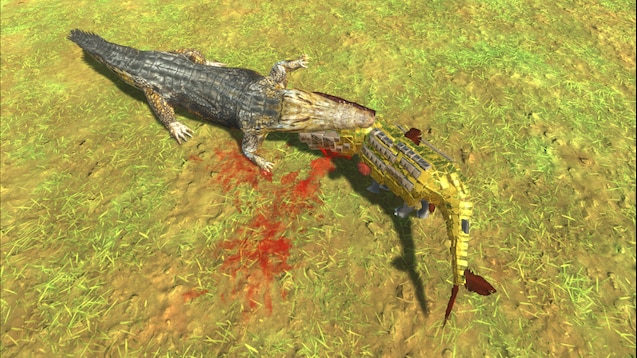 goliath tiger fish attacks crocodile