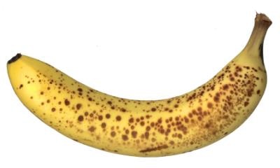 Banana developer published [FNF MOD]GUYS LOOK[TEST] 