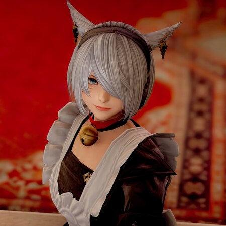 FF14/猫魅女仆