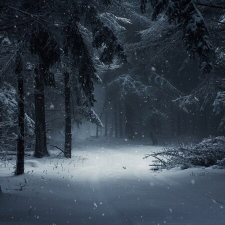 Dark Winter Path