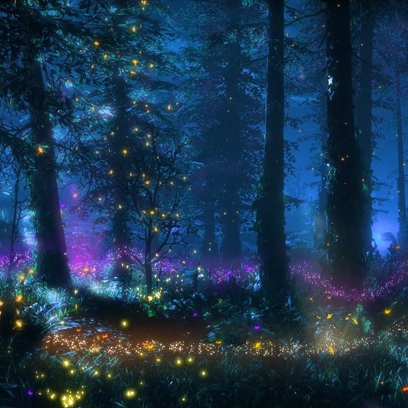 Enchanted magical forest