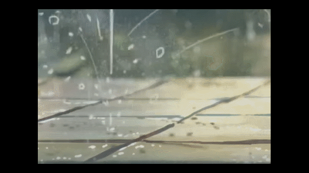 Https Encrypted Tbn0 Gstatic Com Images Q Tbn 3aand9gctaalv0lxrji8ftgatalchrnwhrfjstk6962rpnro7t3y0l4f5u Usqp Cau