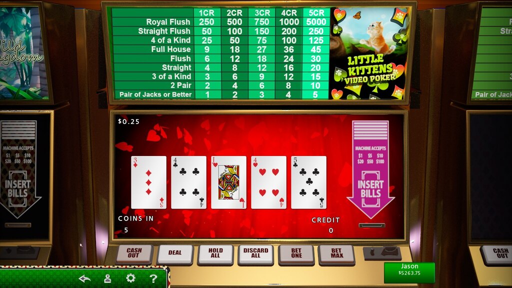  Hoyle Poker & More [Download] : Video Games