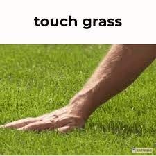 Touch Grass Nature Outdoors Video Game Stream Online Meme -  Israel