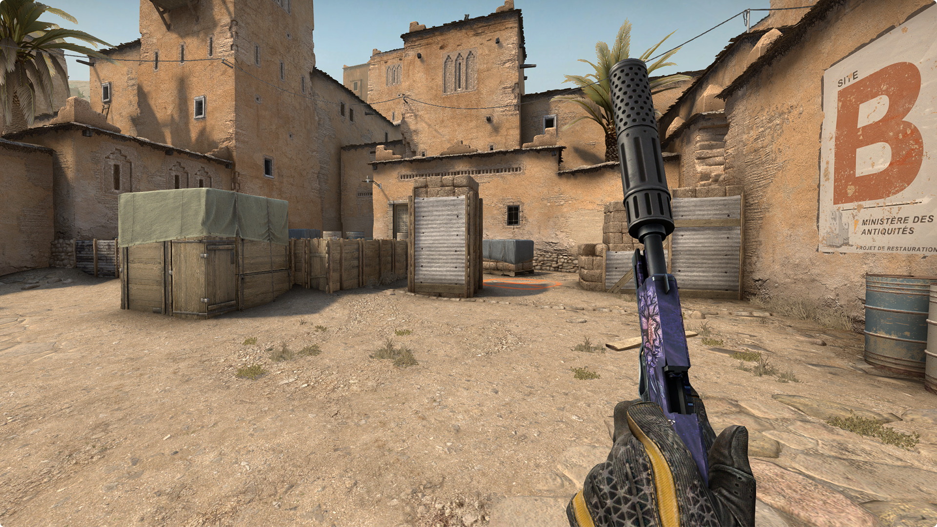 Usp s black lotus