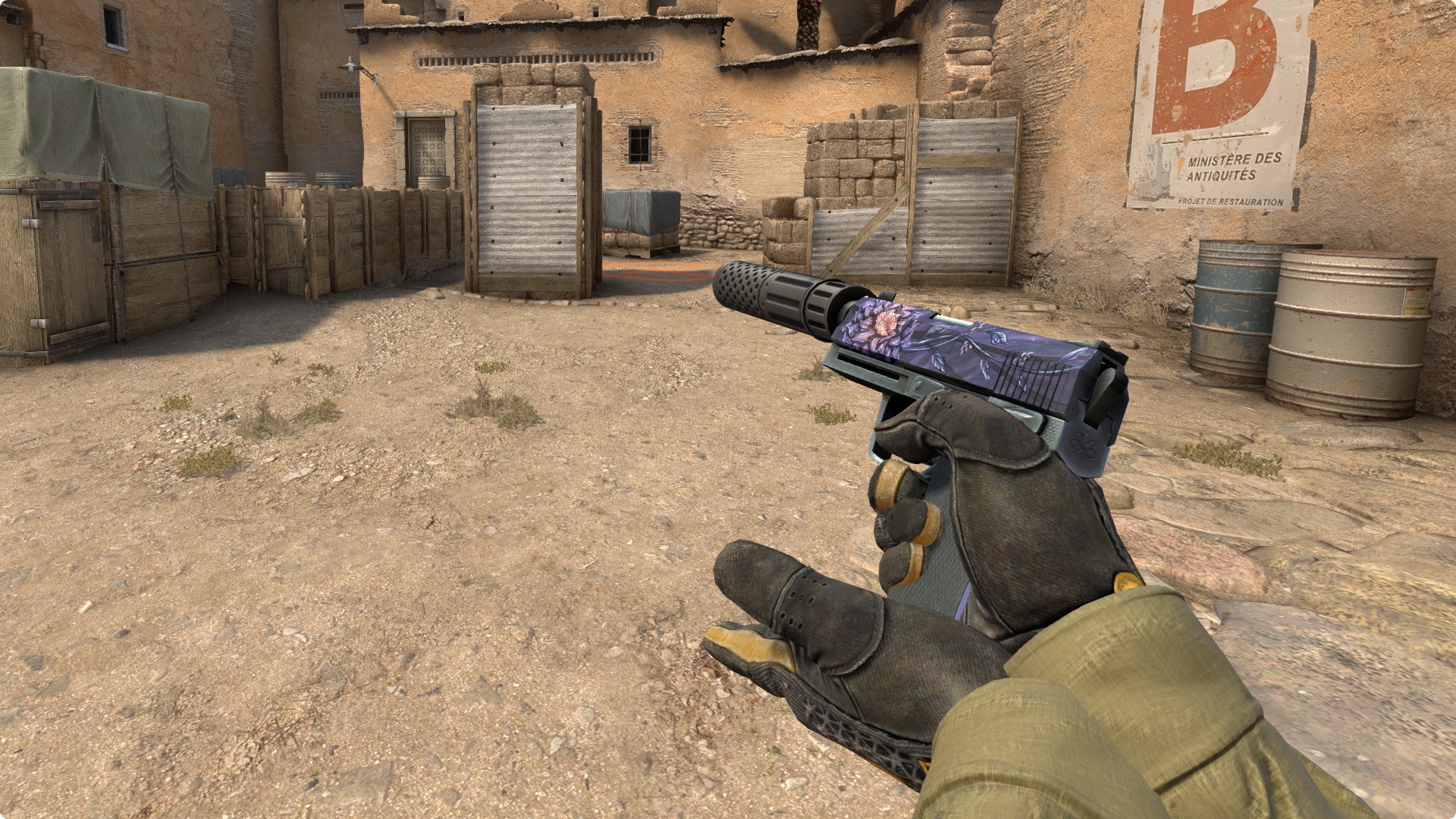 Usp s black lotus