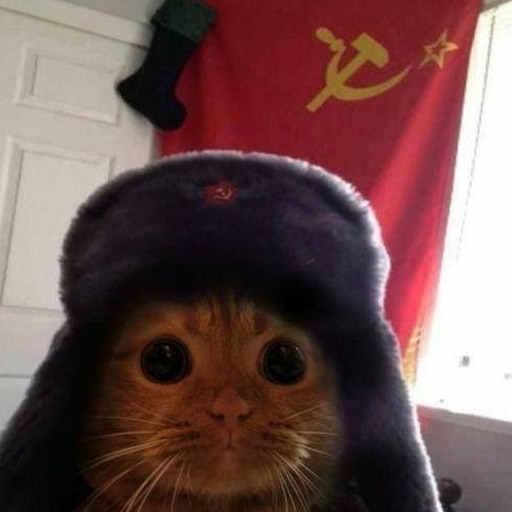 Doggo cursed Comrade Doggo