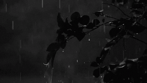 Гиф черно белые фото Гиф черно белые фото