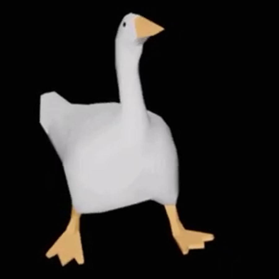 EMINEM GOOSE FULL