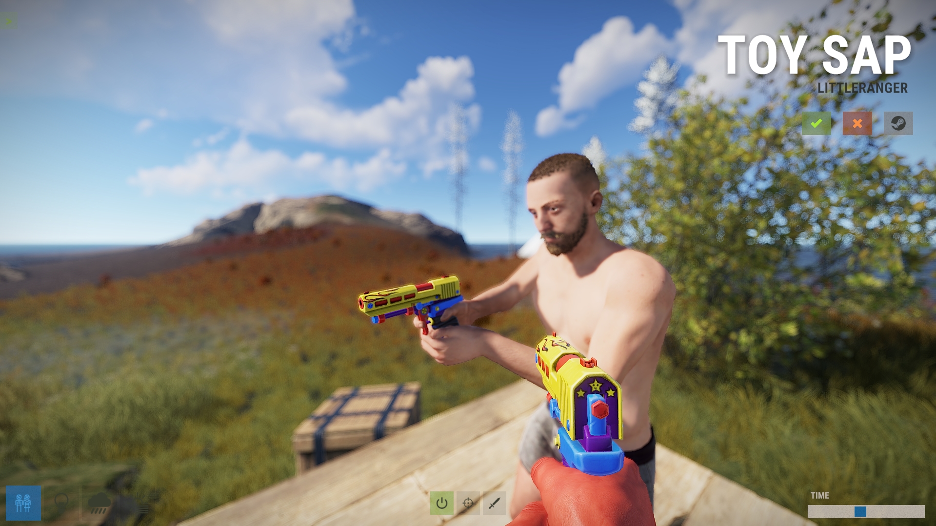 Toy SAP screenshot 1