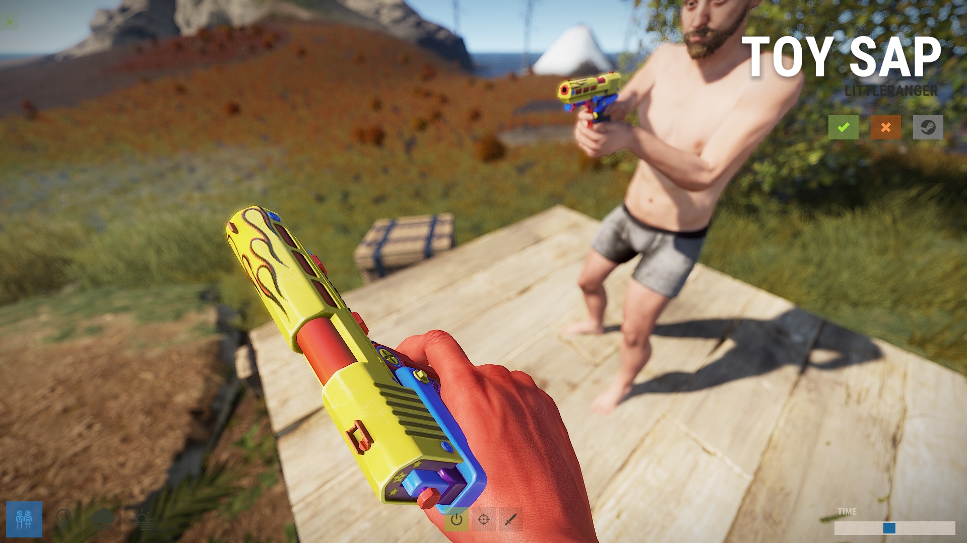Toy SAP thumbnail 3