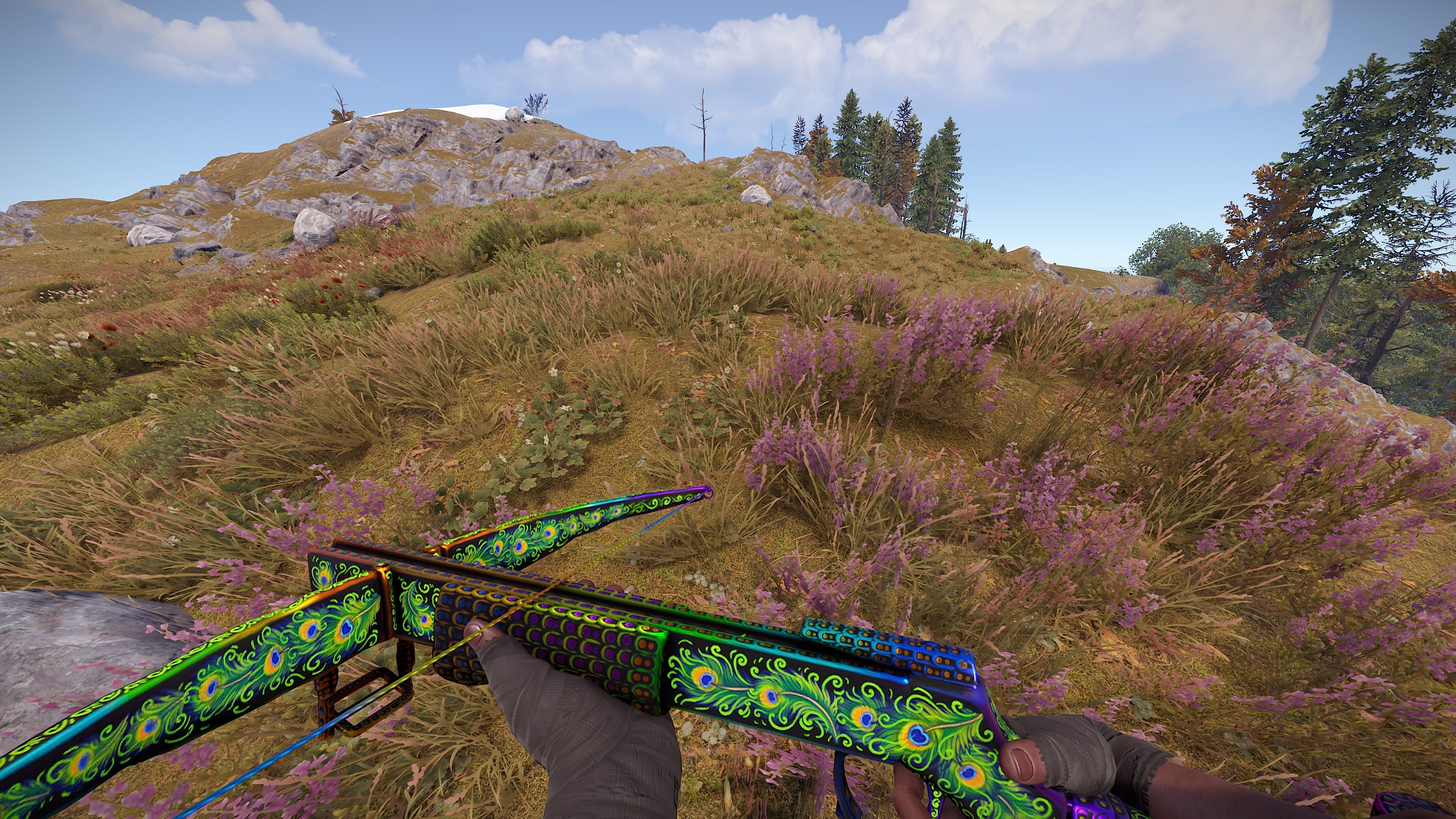 Bird of Luck Crossbow thumbnail 4