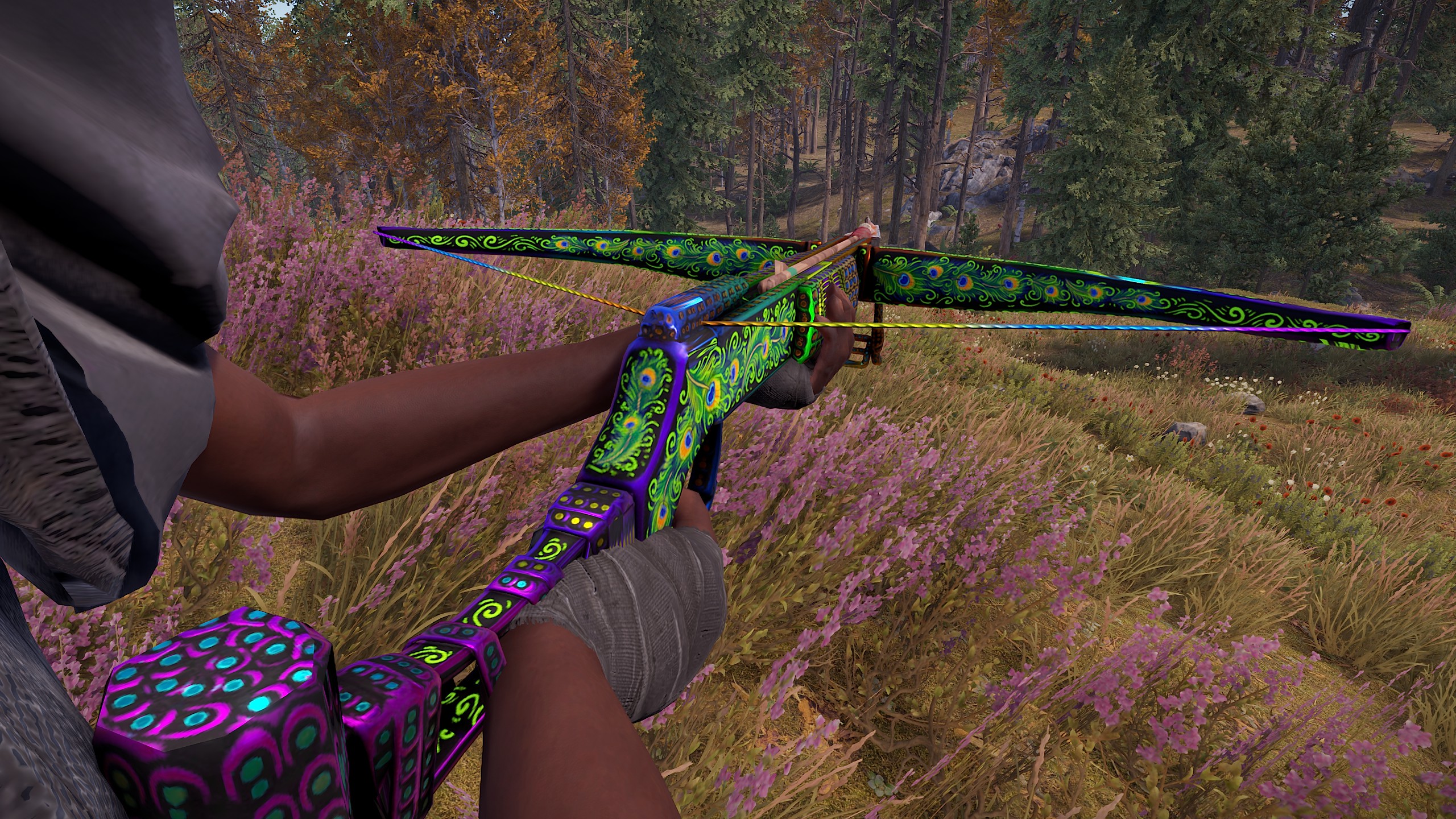 Bird of Luck Crossbow thumbnail 2