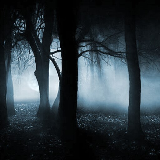 Night forest стим фото 50