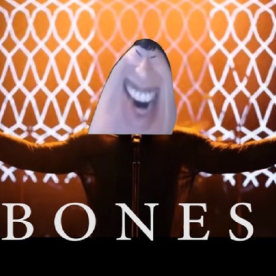 电棍：Bones