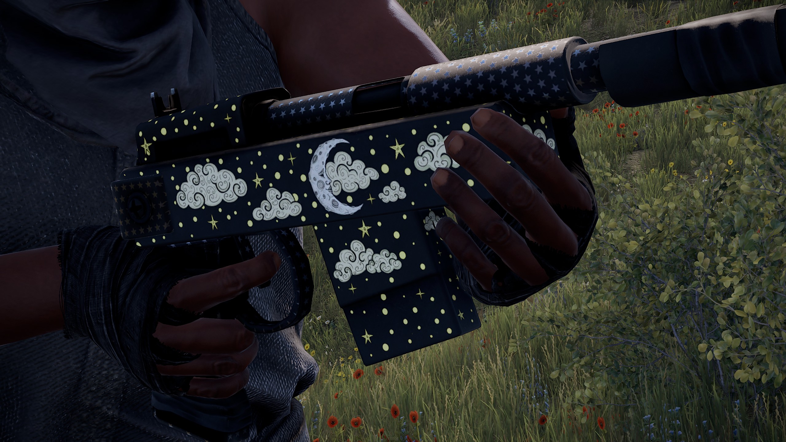 Starry Dream SAR thumbnail 2