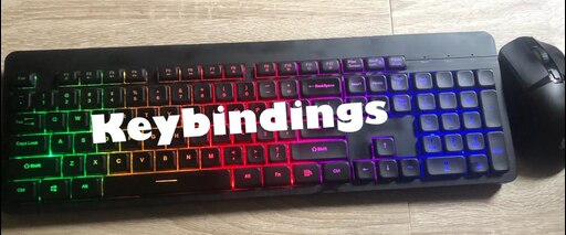 Keybindings - DayZ