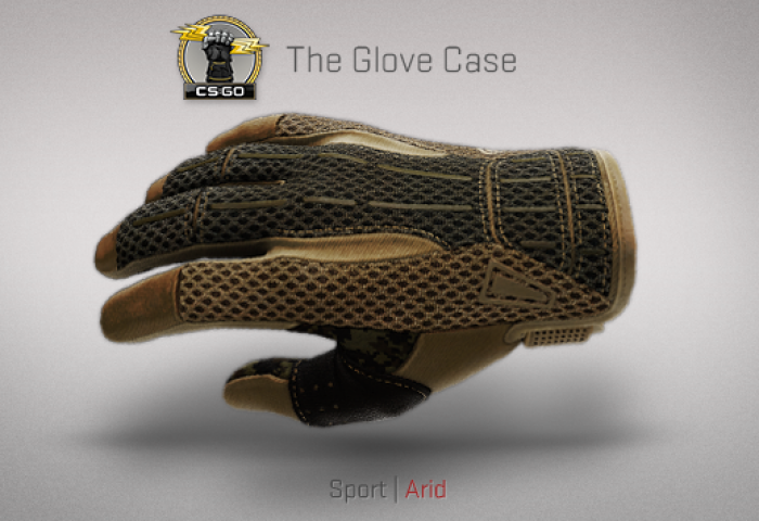 Steam Workshop::CSGO Sport Gloves | Arid