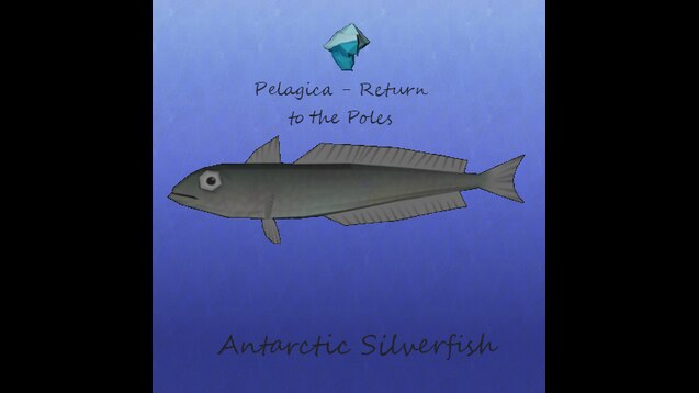 antarctic silverfish