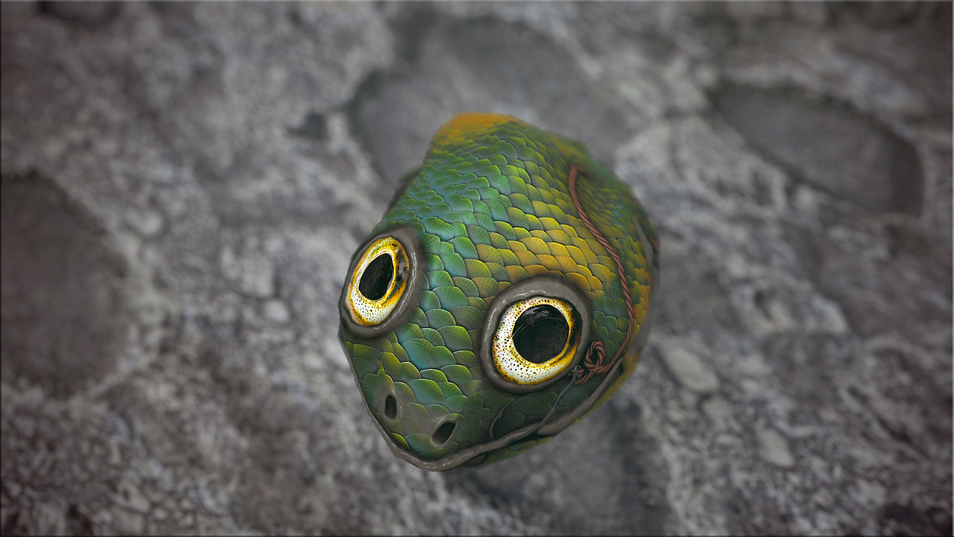 Fish Rock thumbnail 2