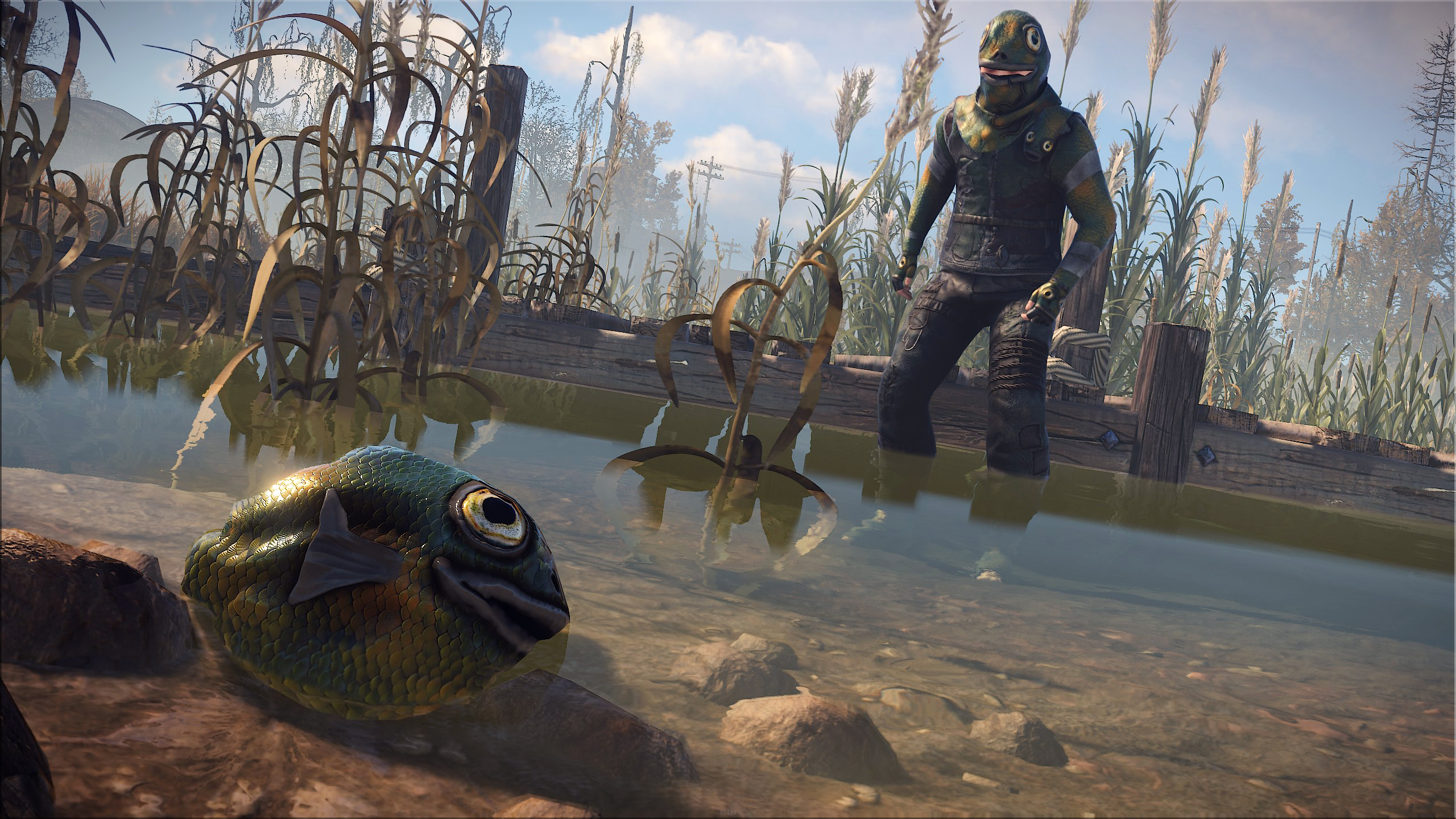 Fish Rock thumbnail 4
