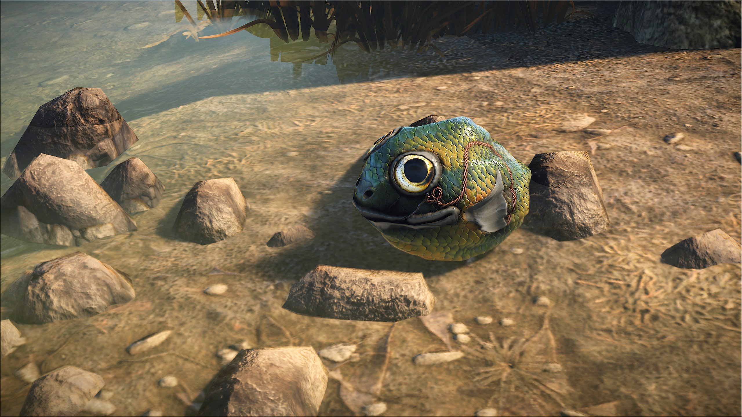 Fish Rock thumbnail 5