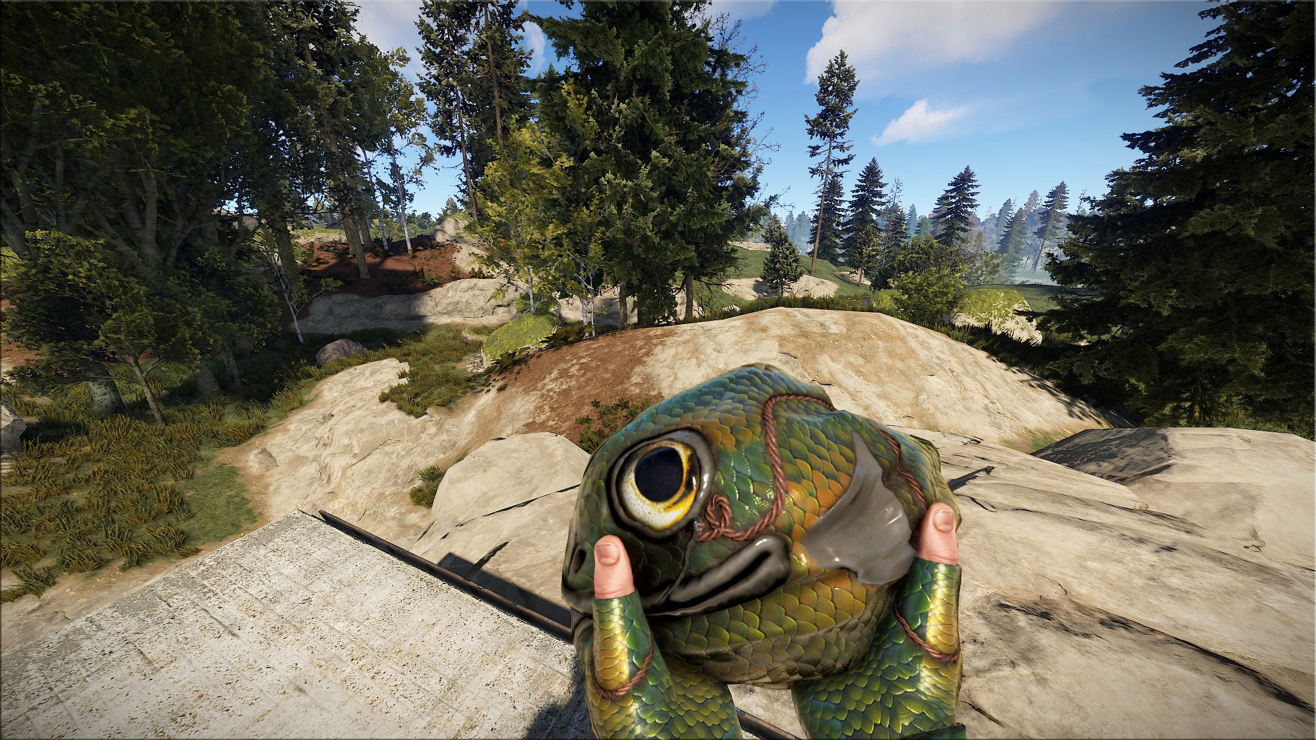 Fish Rock thumbnail 7