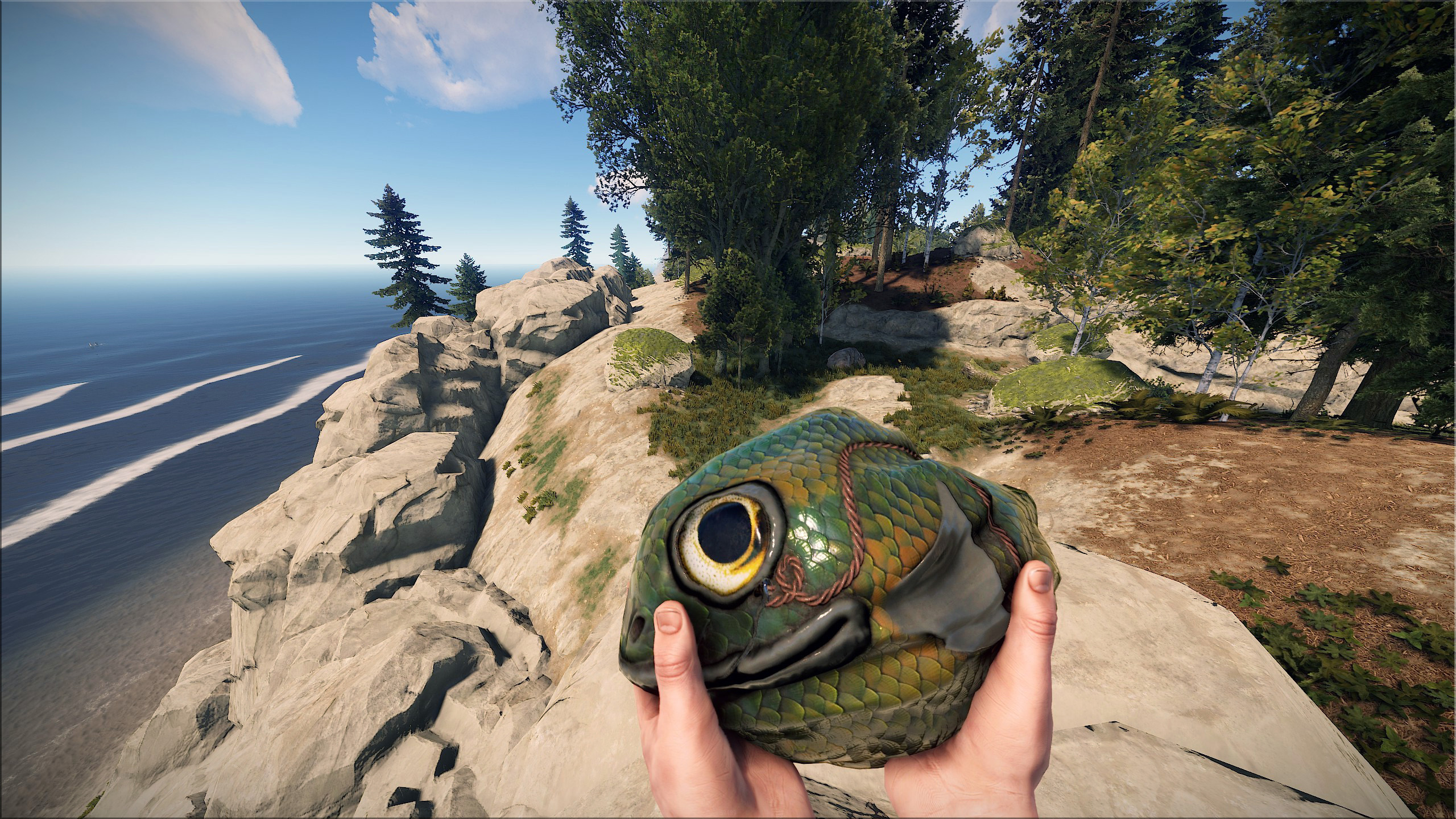 Fish Rock thumbnail 8