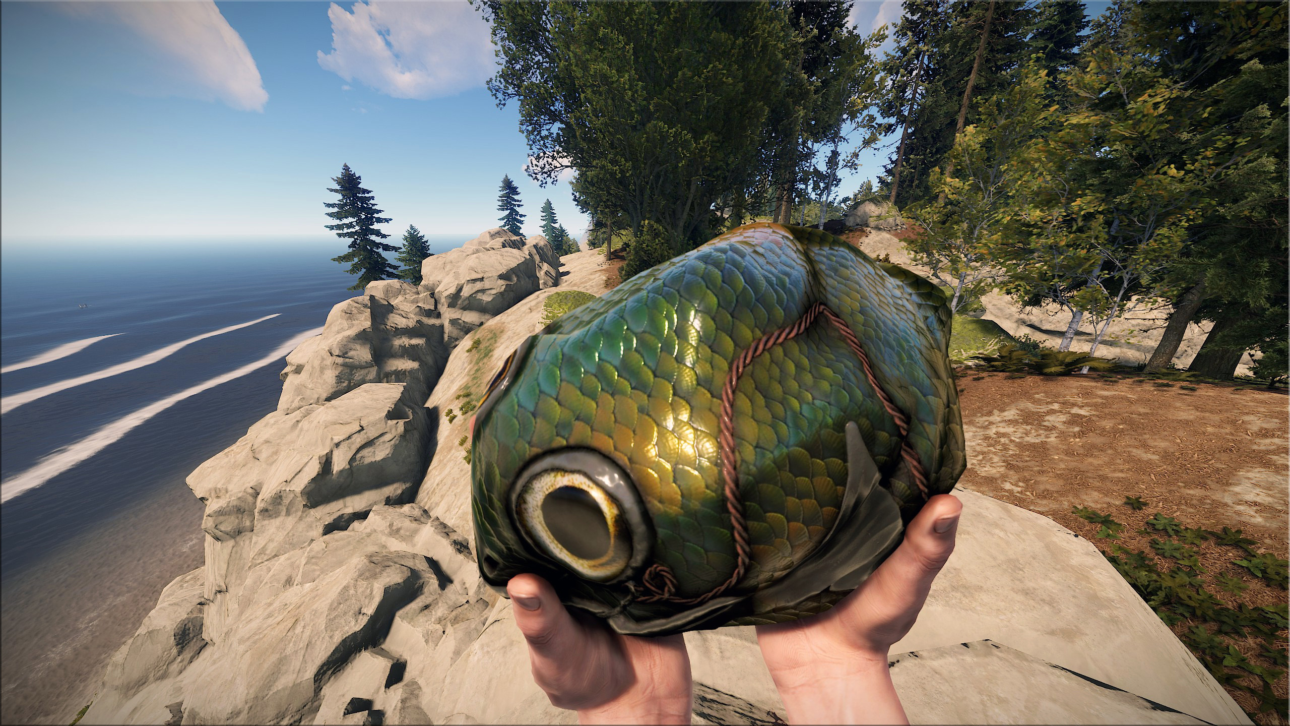 Fish Rock thumbnail 9