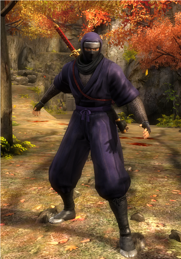 All Costumes in Ninja Gaiden: Master Collection (Work in progress) image 3
