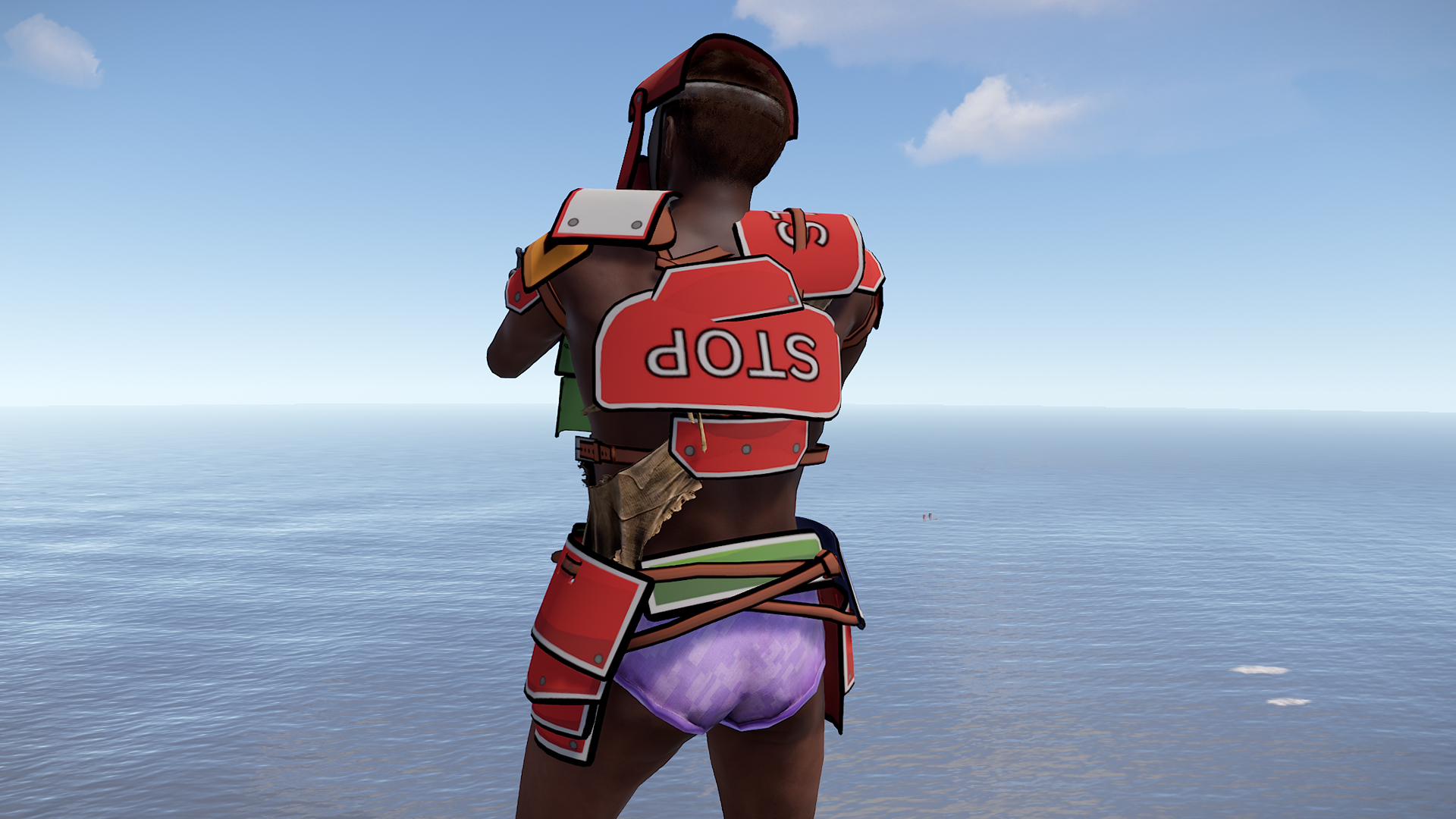 JPEG Roadsign Vest thumbnail 7