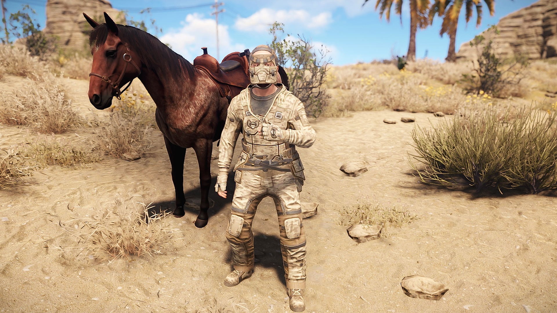 Desert Raiders Pants thumbnail 6
