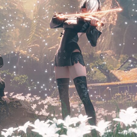 2B.A2.Kaine