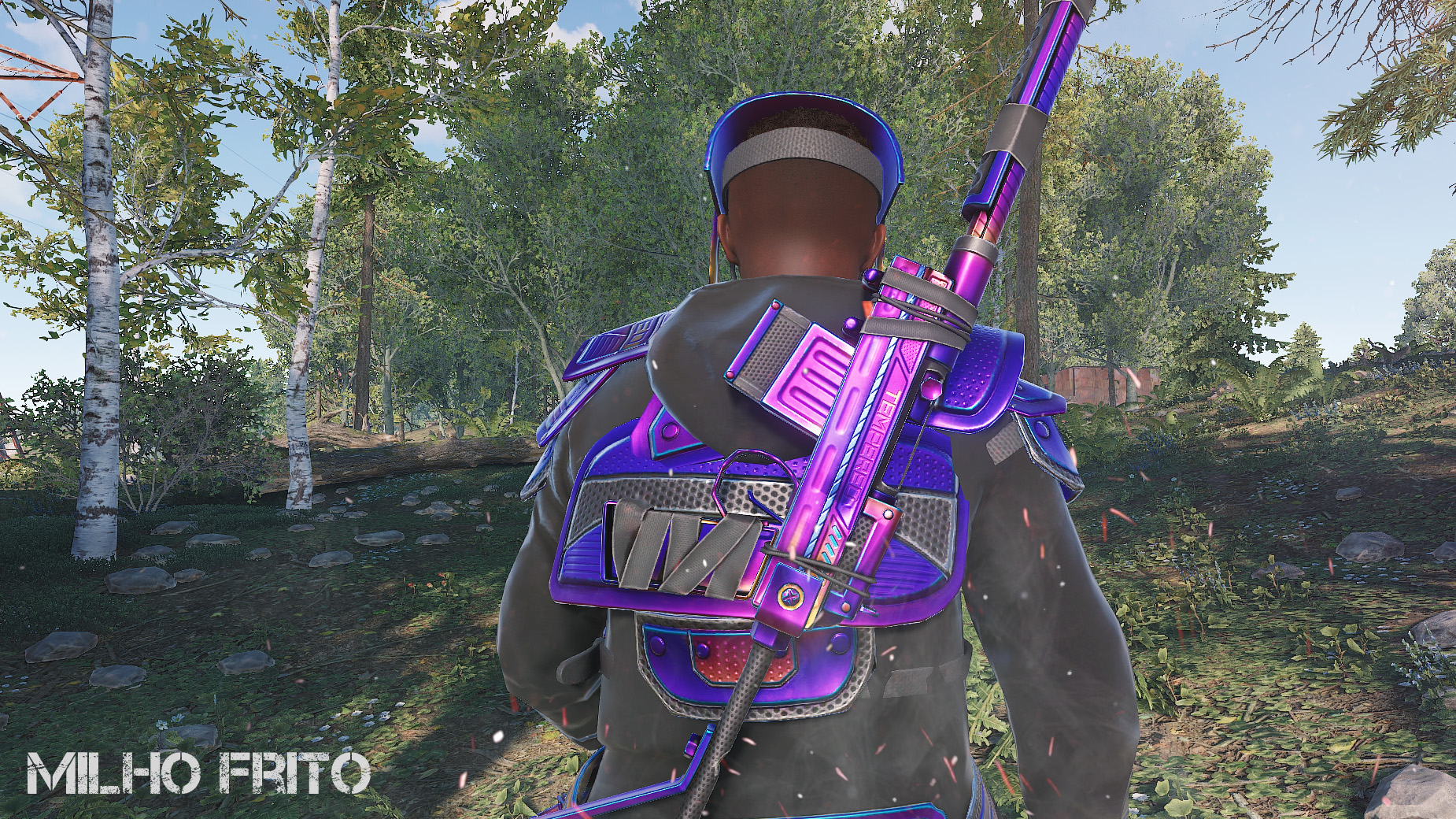 Tempered SAR thumbnail 4