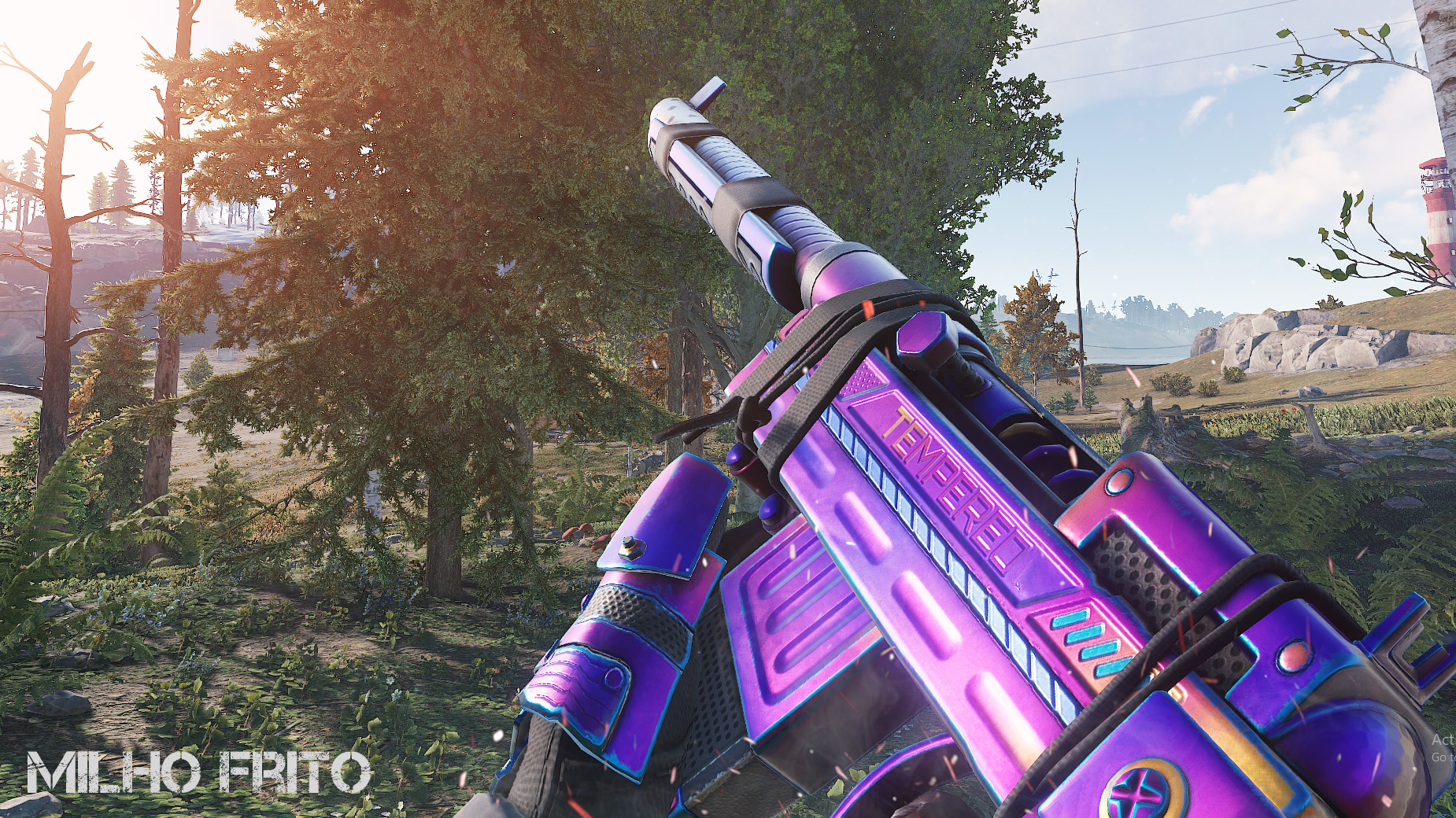 Tempered SAR thumbnail 5
