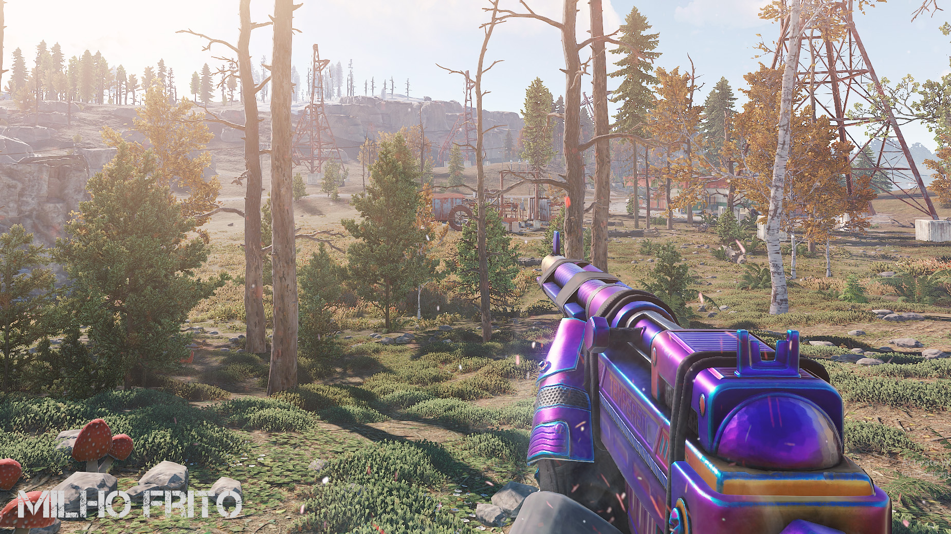 Tempered SAR thumbnail 6