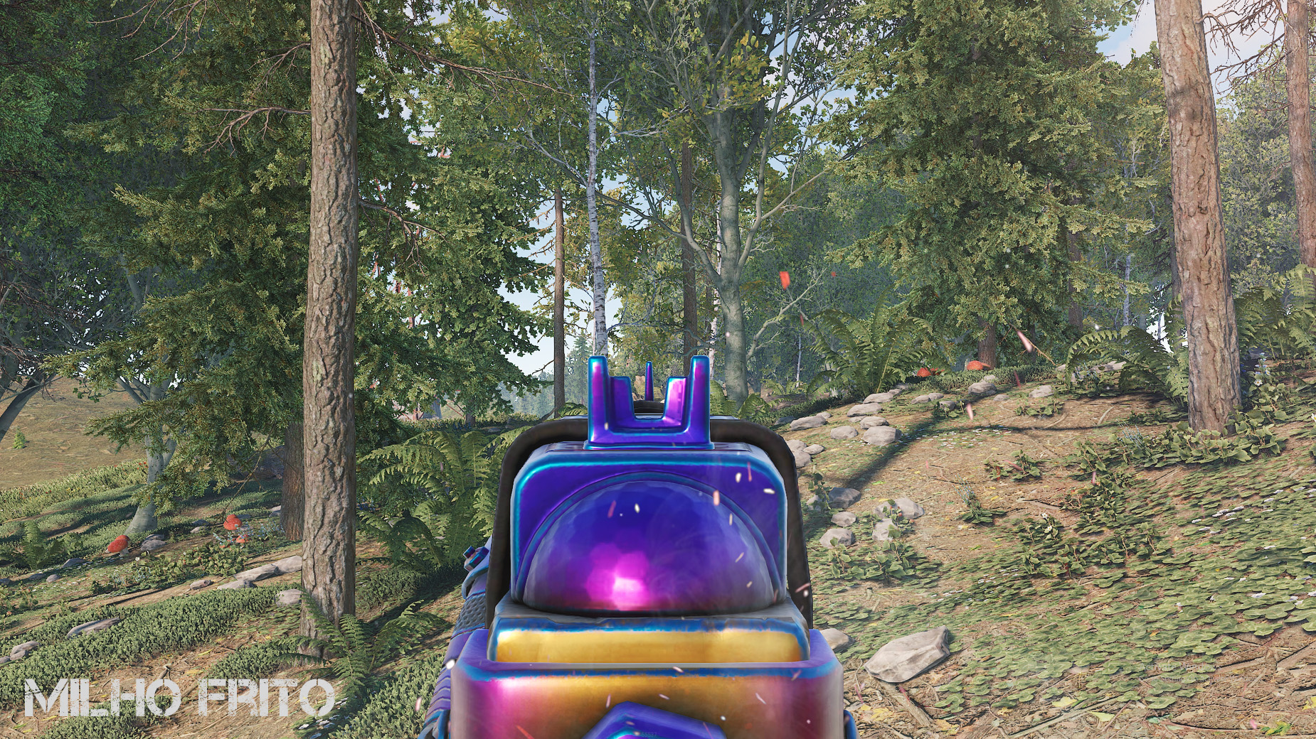 Tempered SAR thumbnail 7